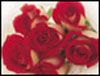 Beautiful Roses To Say... - Roses ecards - Flowers Greeting Cards