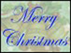 Special Times! - Thank You ecards - Christmas Greeting Cards