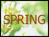 Reach out for your love! - Spring ecards - Seasons Greeting Cards
