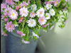 A Beautiful Thank You Note. - Thank You ecards - Flowers Greeting Cards A Beautiful Thank You Note. - Thank You ecards - Flowers Greeting Cards