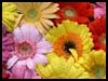 Warm wish! - Hello ecards - Friendship Greeting Cards Warm wish! - Hello ecards - Friendship Greeting Cards