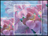 God is there! - Friends ecards - Valentine's Day Greeting Cards